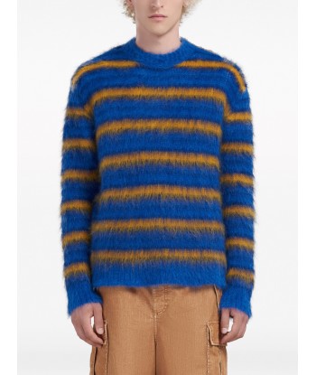 Crew Neck Striped Jumper prix pour 